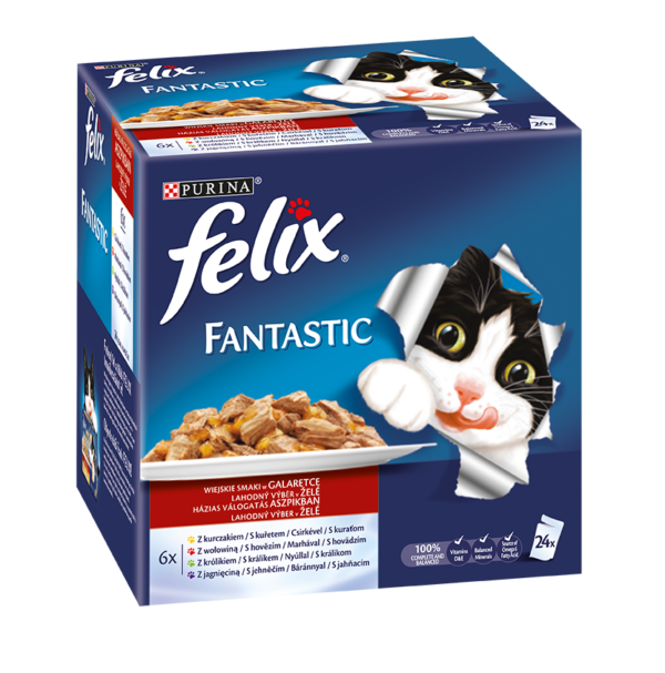 FELIX FANTASTIC GAL.MIX 24X100